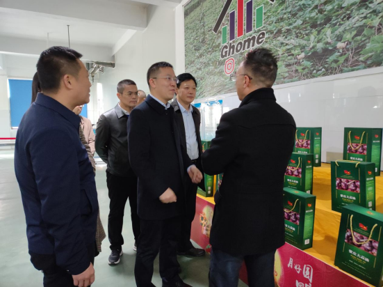 市委常委、組織部部長(zhǎng)、統(tǒng)戰(zhàn)部部長(zhǎng)龔紅果蒞臨天香生物調(diào)研