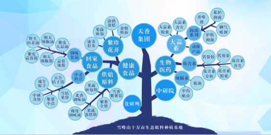 市委常委、組織部部長(zhǎng)、統(tǒng)戰(zhàn)部部長(zhǎng)龔紅果蒞臨天香生物調(diào)研
