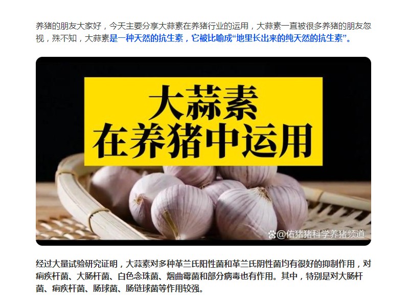 大蒜素在養(yǎng)豬行業(yè)的運(yùn)用，您了解多少？